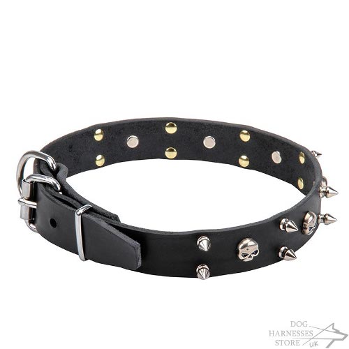 Rock-n-Roll Dog Collar