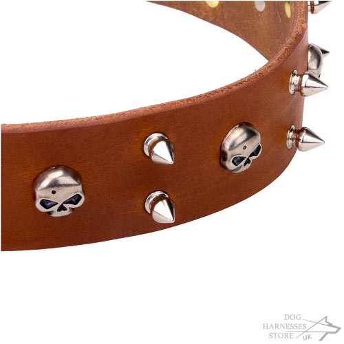 Rock-n-Roll Dog Collar UK