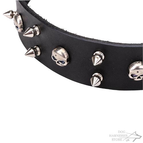 Rockstar Dog Collar UK