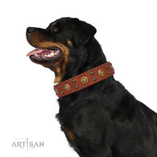 Rottweiler Dog Collar
