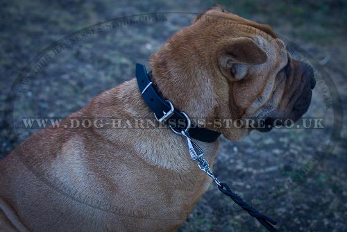 Shar-Pei Collar UK