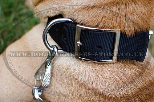 Shar-Pei Collars