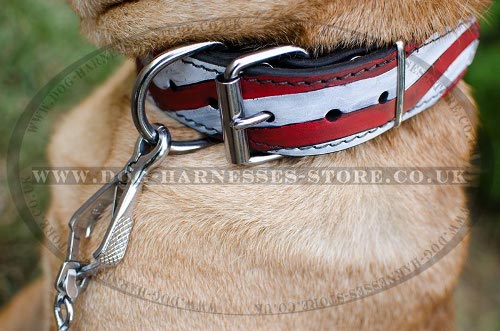 Shar-Pei Collars UK