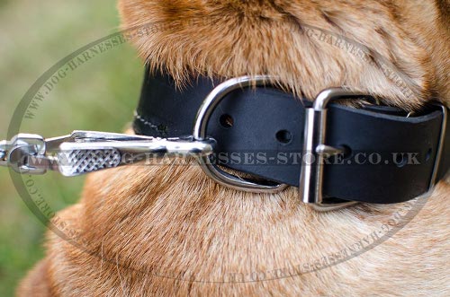 Shar-Pei Collars UK