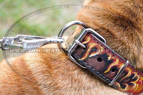 Hand Painted Dog Collars