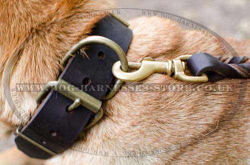 Shar-Pei Collars UK