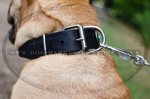 Shar-Pei Collars UK