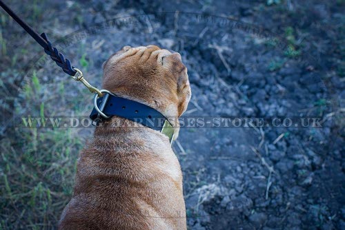 Shar-Pei Collars UK