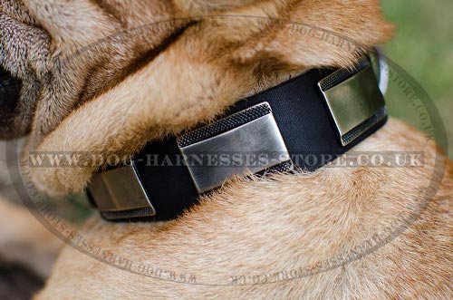 Shar-Pei Collars UK