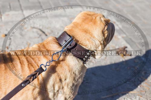 Shar-Pei Collars UK