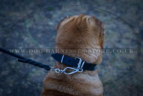 Shar-Pei Collars UK