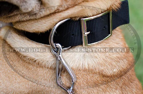 Shar-Pei Collars UK