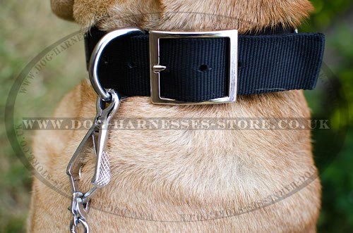 Shar-Pei Collars UK