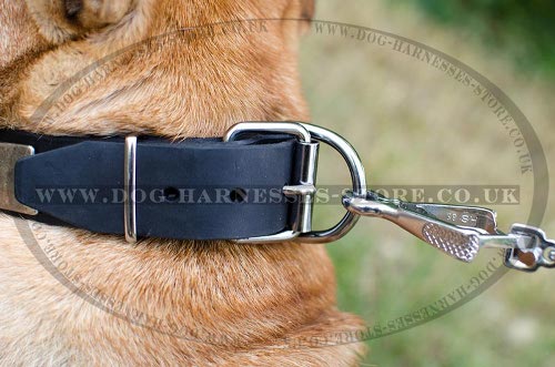 Shar-Pei Collars UK