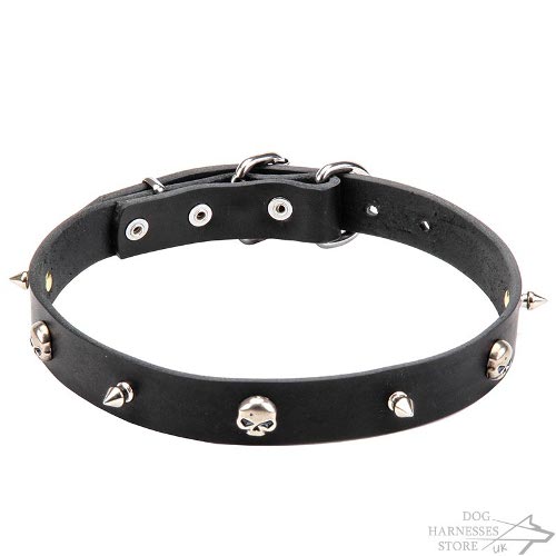 Skull Dog Collar