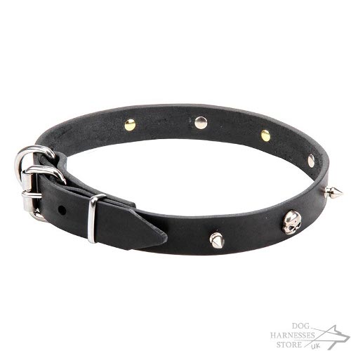 Skull Dog Collars UK