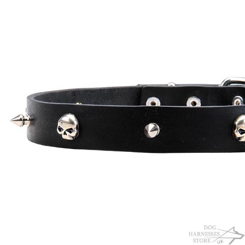 Skull Leather Dog Collar