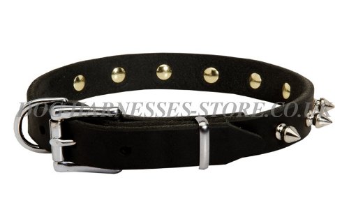 Spiked Dog Collar, Leather