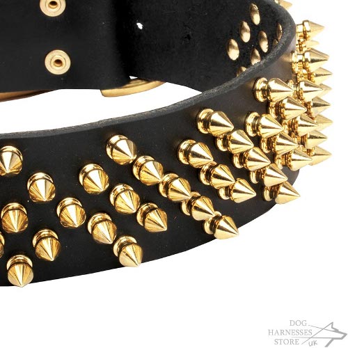 Dog Collar with Spikes