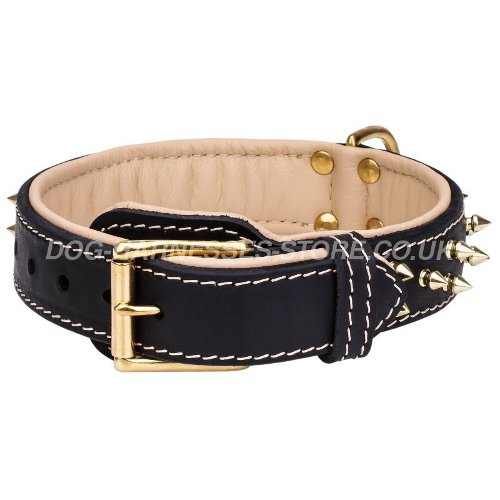 Soft Dog Collars