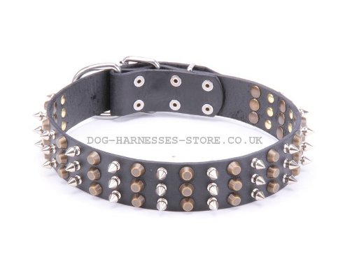 Spiked Studded Dog Collars