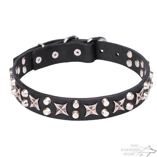 Star Dog Collar UK