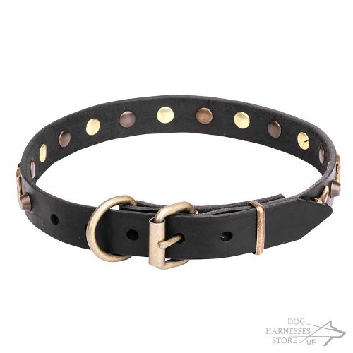 Star Dog Collar UK