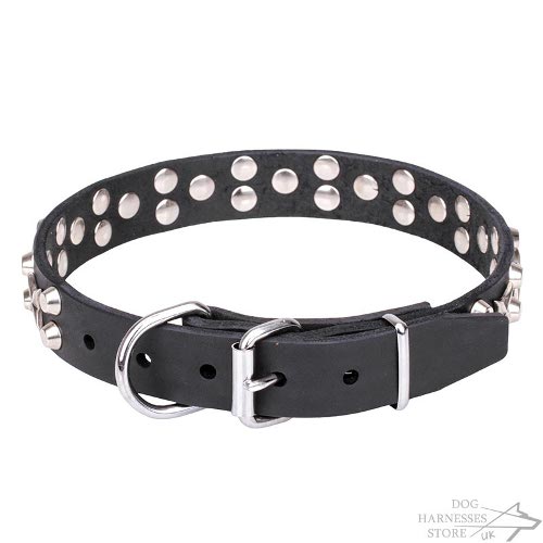 Dog Collar Stars UK