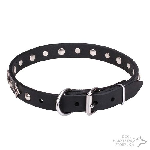 Star Dog Collar UK