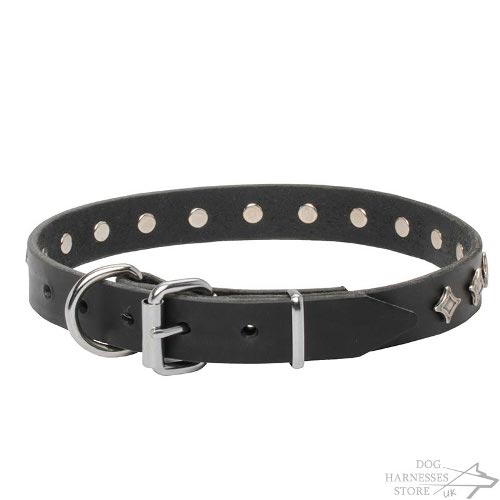 Star Dog Collar UK