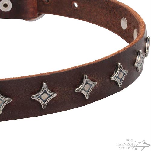 Star Dog Collars UK