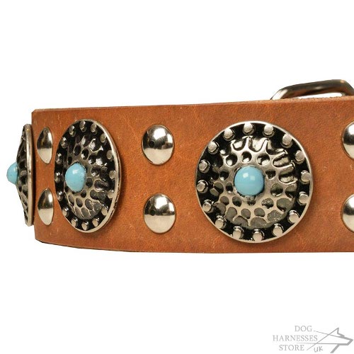 Leather Stone Dog Collars