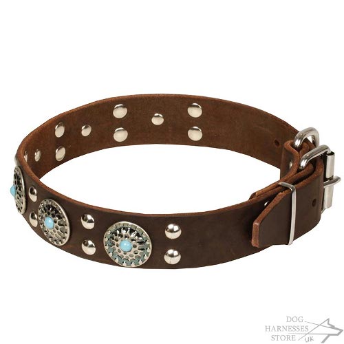 Stone Studded Dog Collar