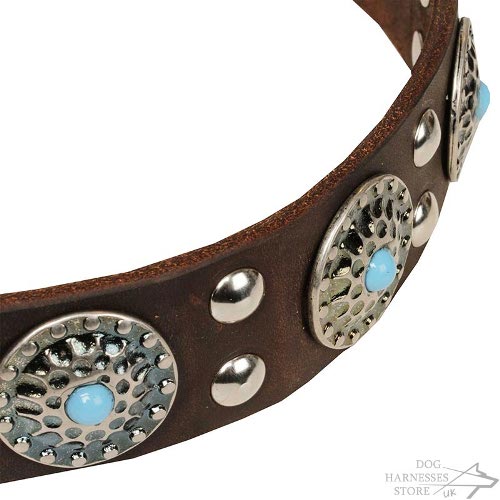 Stone Studded Dog Collars