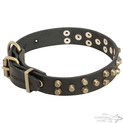 Fashion Dog Collars