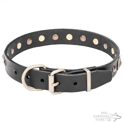 Studded Dog Collar UK