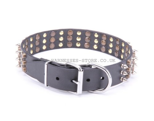 Studded Spiked Dog Collars