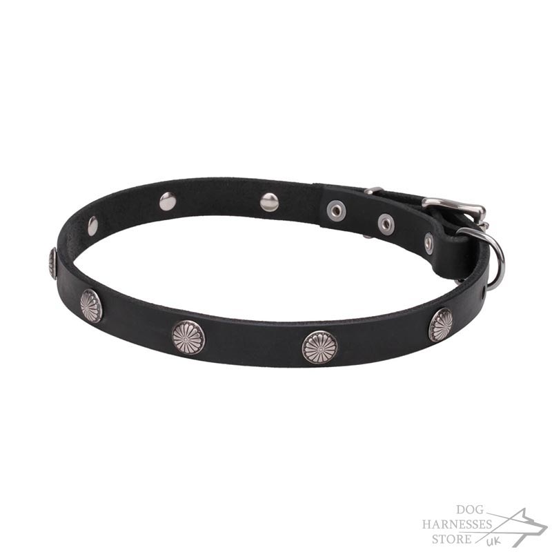 Flowered Design Thin Leather Dog Collar ⚛ - £29.00