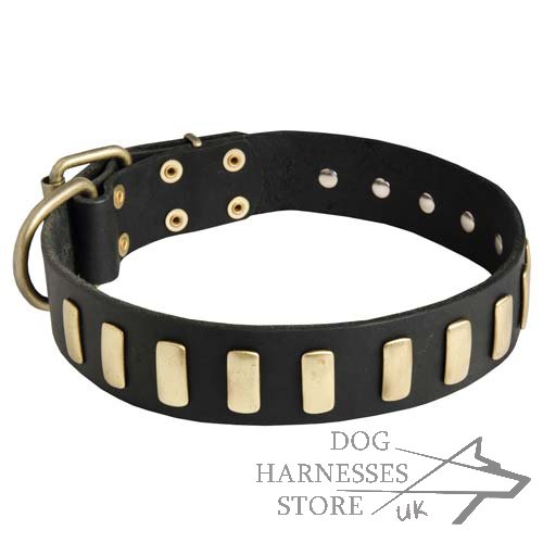 Stylish Dog Collar