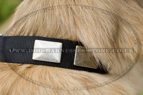 Tervuren Collars