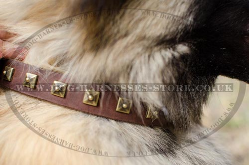 Tervuren Collars