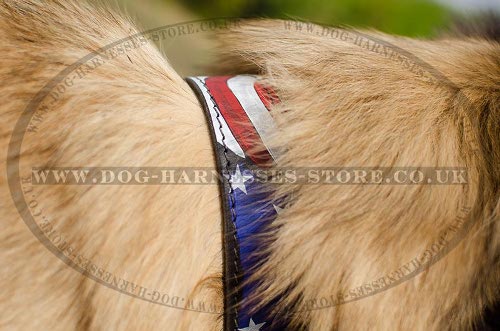 Tervuren Collars