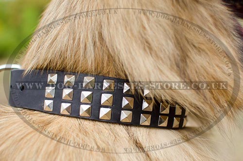 Tervuren Collars