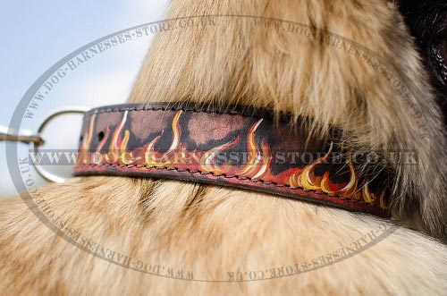 Hand Painted Leather Dog Collars