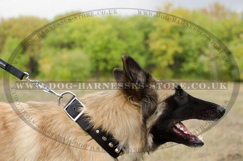 Tervuren Collars