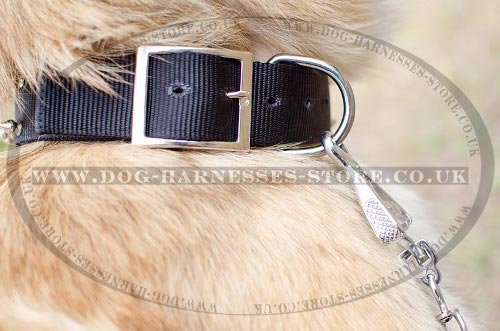 Tervuren Collar