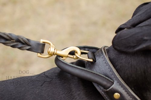 Thick Leather Dog Collars