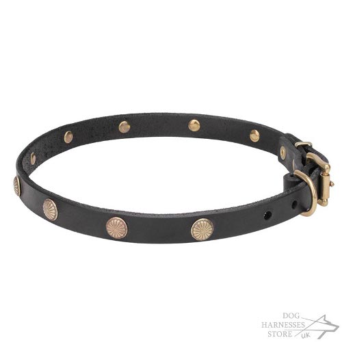 Thin Dog Collar UK Brass Studded