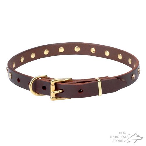 Thin Leather Dog Collar, Brass Stars