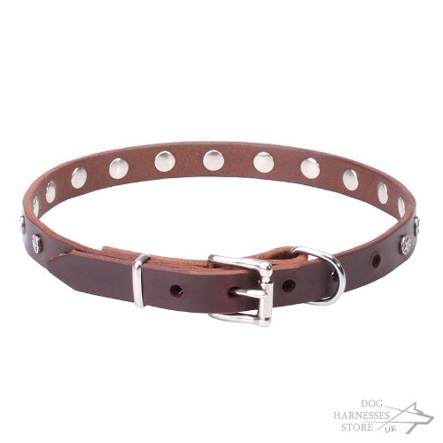 Thin Leather Dog Collar